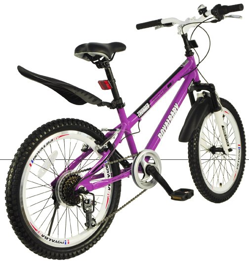 ROYALBABY Freestyle 6 Speed Steel 20