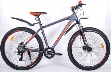 NRG BIKES Lion 29 2025