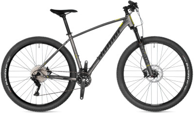 AUTHOR Instinct 29 2024