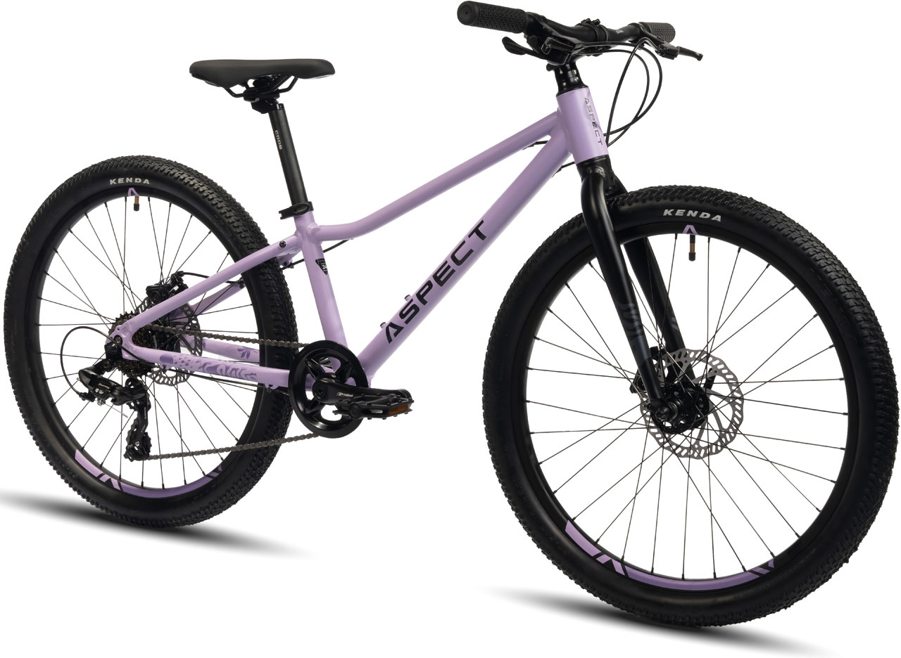ASPECT Angel Lite 24 2024