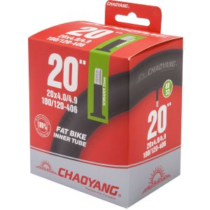 Камера CHAOYANG, 20х4.0", AV