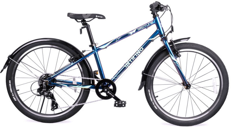 INTRINO Neptune 24 2026