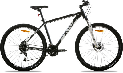 AIST Slide 3.0 29 2024