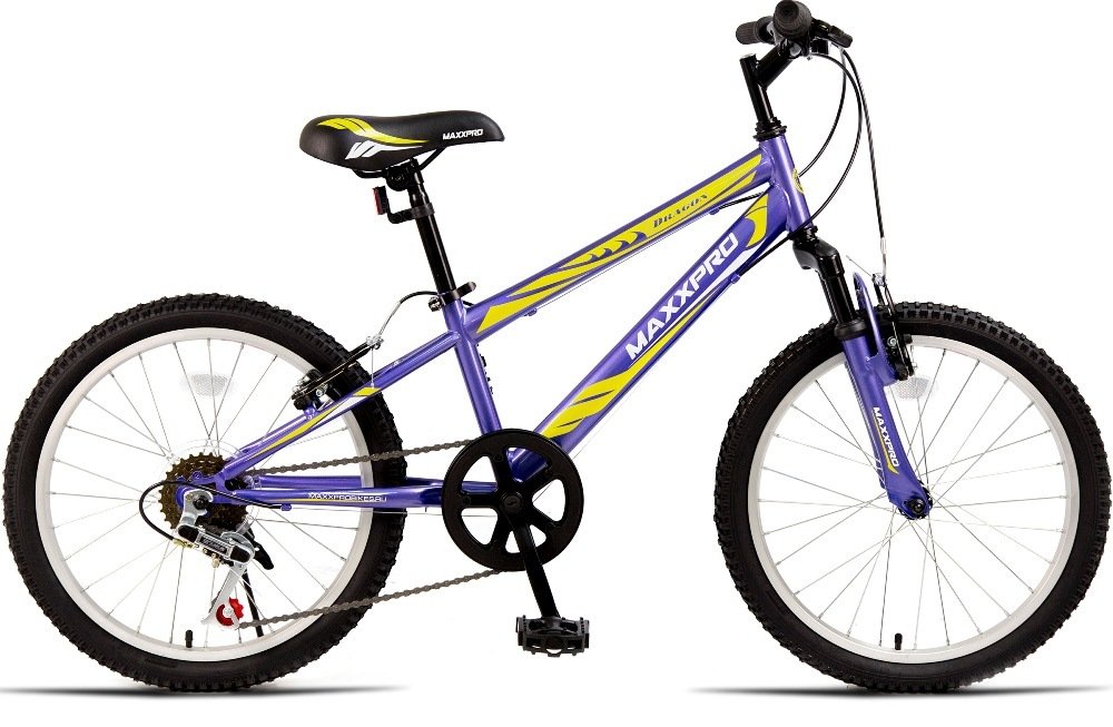 MAXXPRO Dragon 20