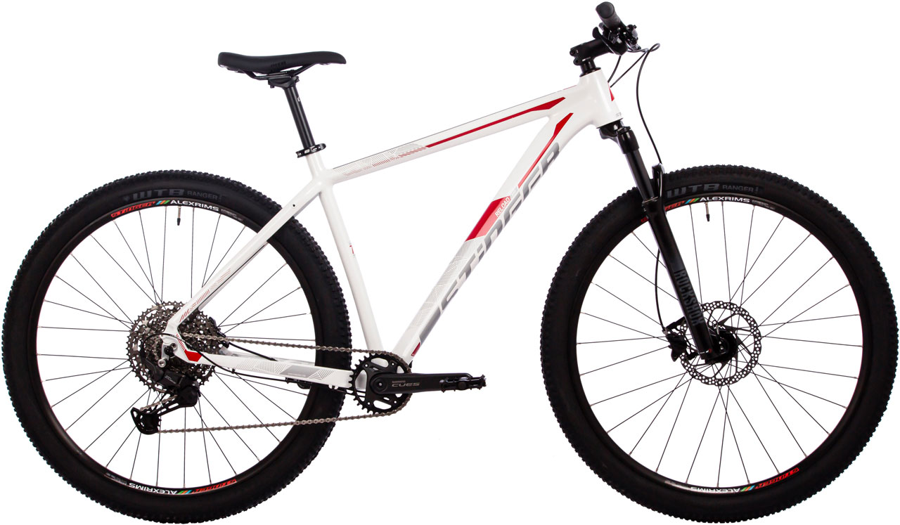 STINGER Reload Evo 29 2024