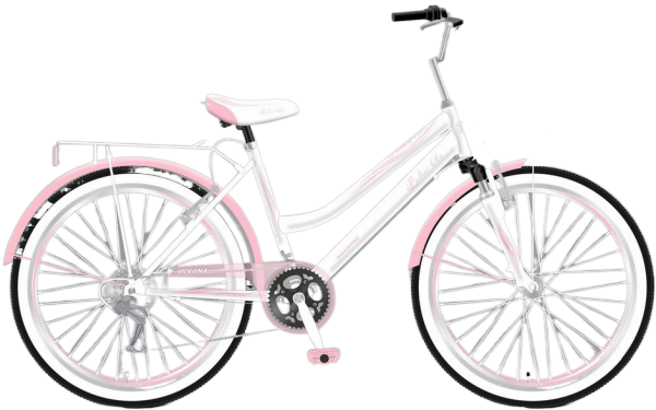 MAXXPRO Verona 26 2022