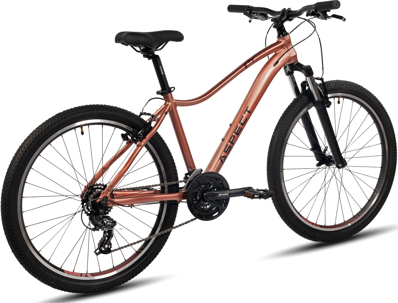 ASPECT Oasis 26 2024
