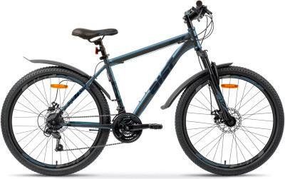 AIST Quest Disc 26 2024 13/синий