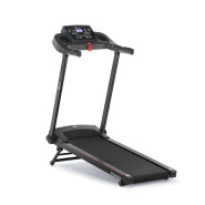 Беговая дорожка ORLAUF Shrike