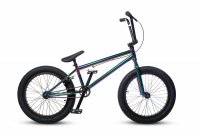 HORST Camorra oil slick 2020