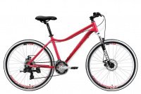 WELT Edelweiss 1.0 D 2019