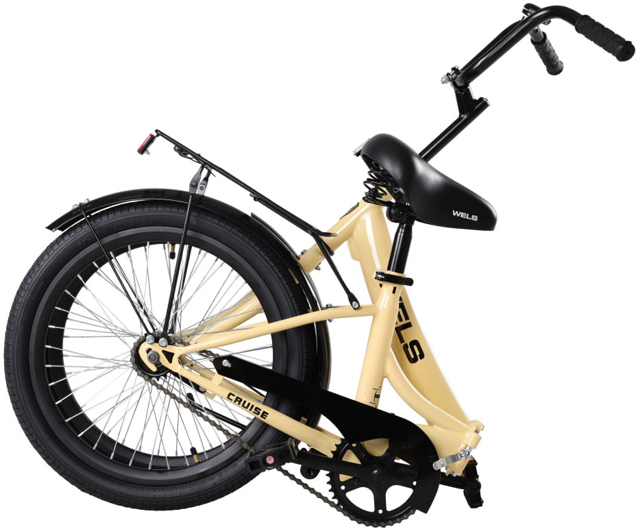 WELS Cruise 20 2024