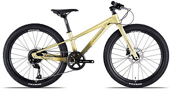 PARDUS Mini Naik RS 24 Disc Altus 2023