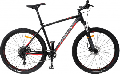 WELT Rubicon 3.0 29 2021