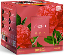 Батарея салютов ZEERGO Пионы, 36 залпов, Z0893