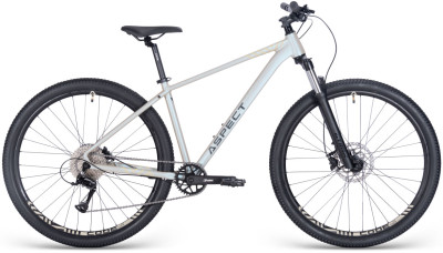 ASPECT Nickel Pro 29 2025