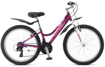 SCHWINN Breaker 24 girl 2022