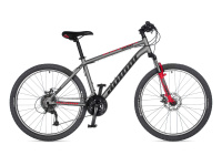 AUTHOR Outset Disc 2021