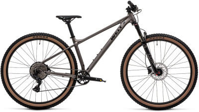 WELT Rambler 1.0 29 2026