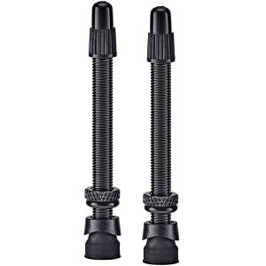 Ниппеля WELDTITE для бескамерных ободов, FV/спорт, 55мм, 2шт