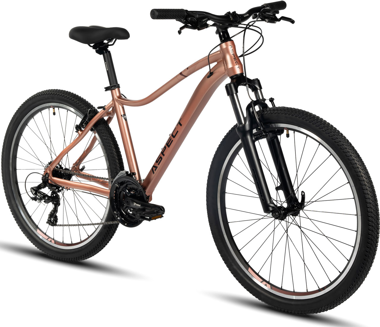 ASPECT Oasis 26 2024