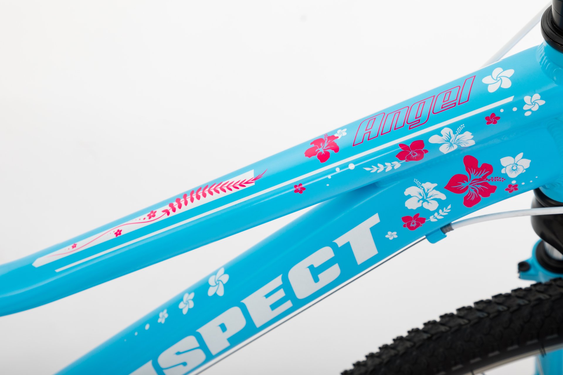 Aspect ANGEL 2017