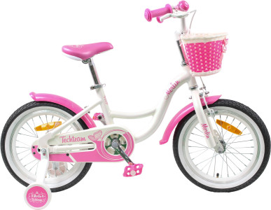 TECH TEAM Merlin 20 2021