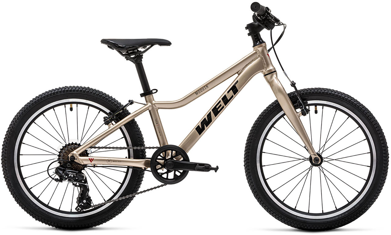 Велосипед Welt Moovix 2.0 20 VB 2026