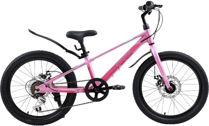 TECH TEAM Forca 20 2024