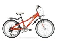 Stark Bliss Girl 20 2015