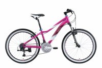 Welt Edelweiss 24 2020