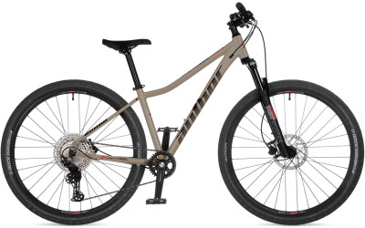 AUTHOR Kinetic ASL 29 2026