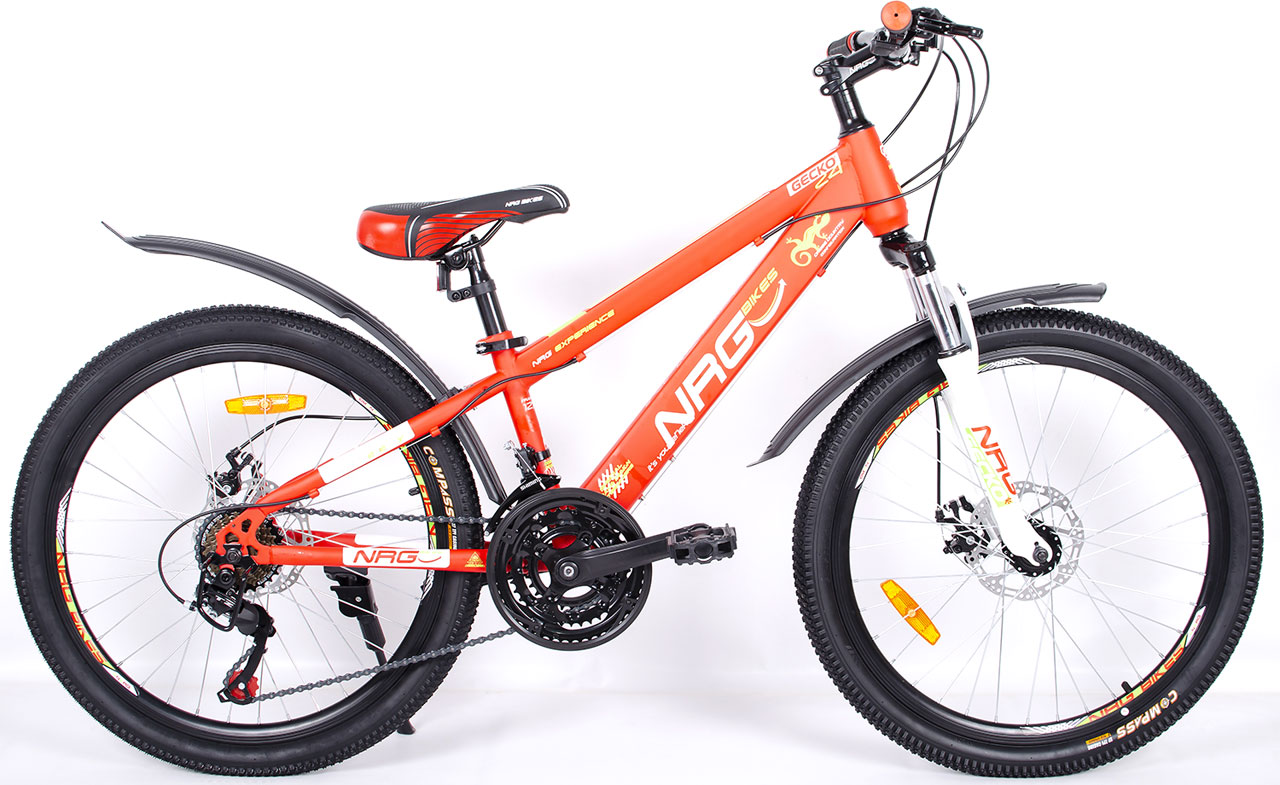 NRG BIKES Gecko 24