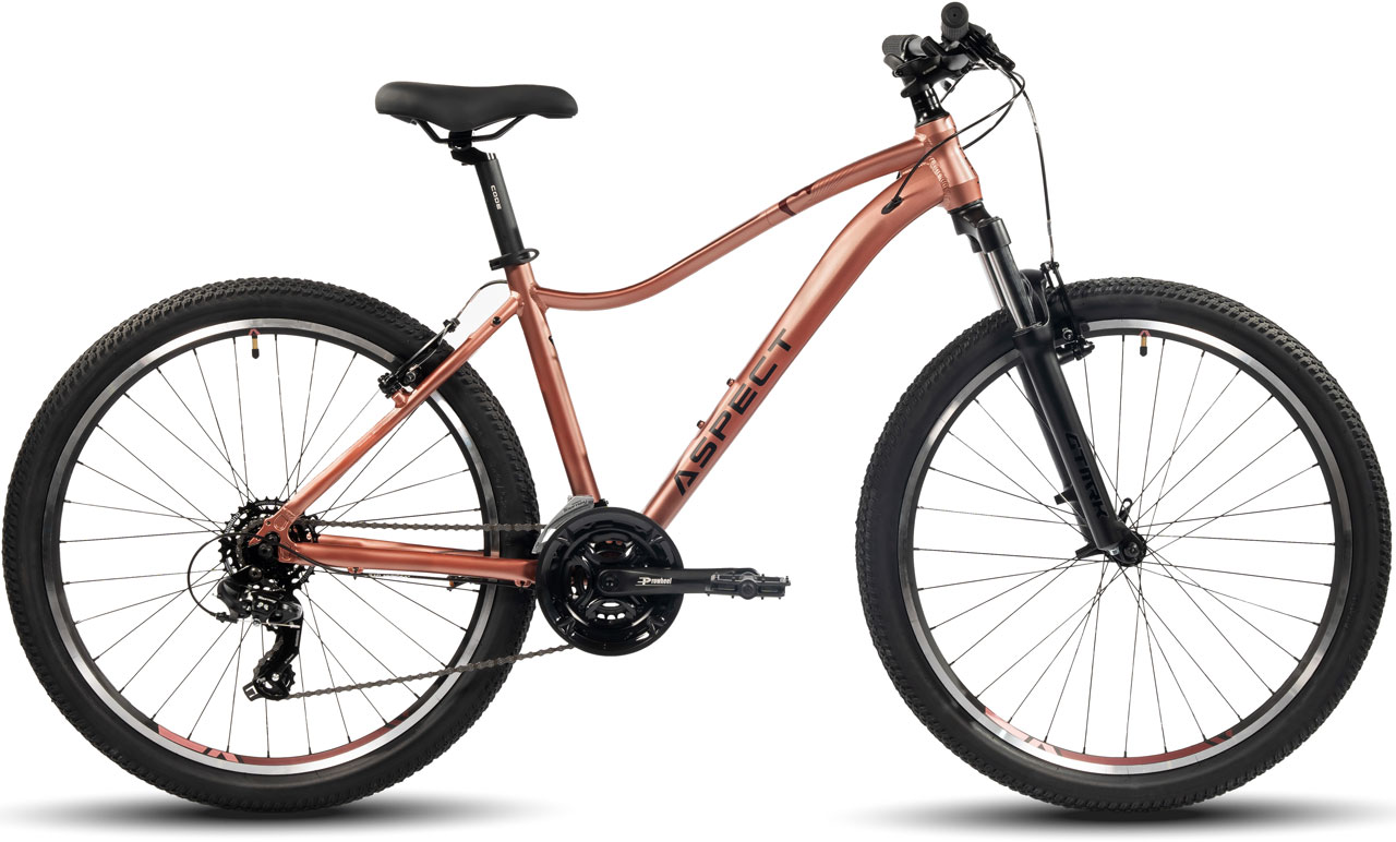 ASPECT Oasis 26 2024
