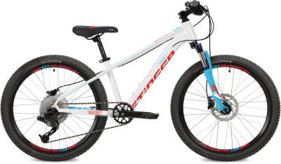 STINGER Magnet Std 24 2021