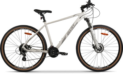 AIST Slide 1.0 29 2025