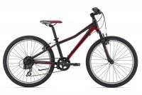 Giant XtC Jr 2 24 2015