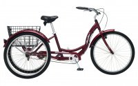 SCHWINN Meridian 2019