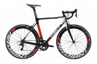 WELT R100 2019