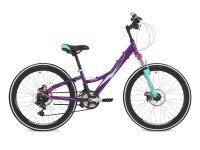 STINGER Galaxy D 24 фиолетовый 2018