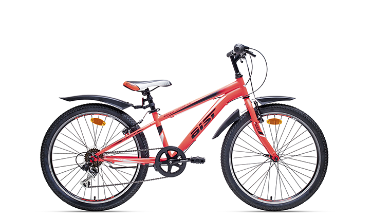 Аист Rocky Junior 1.0 2017
