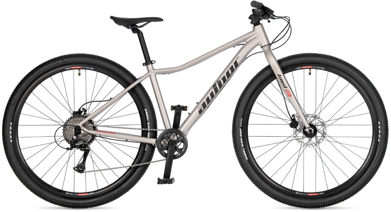 AUTHOR Limit 29 2026