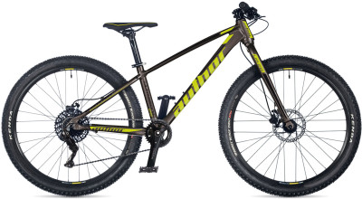 AUTHOR Ultrasonic 26 2023