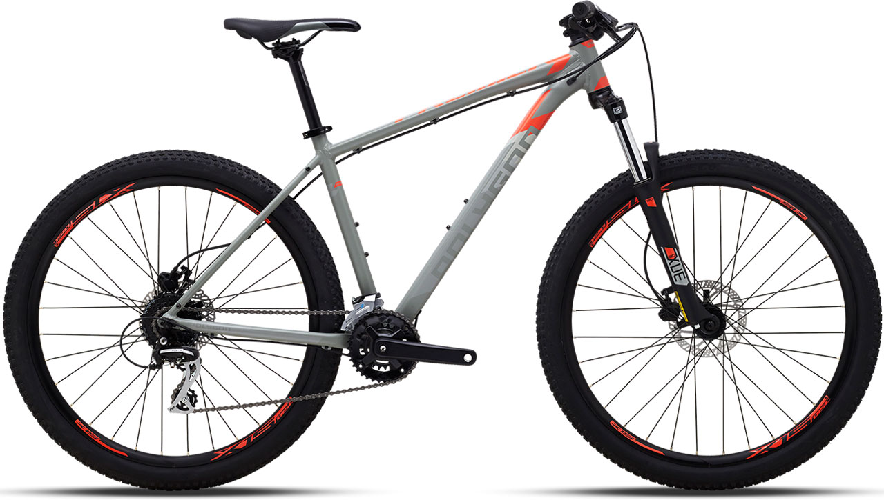 POLYGON PREMIER 4 29 2023