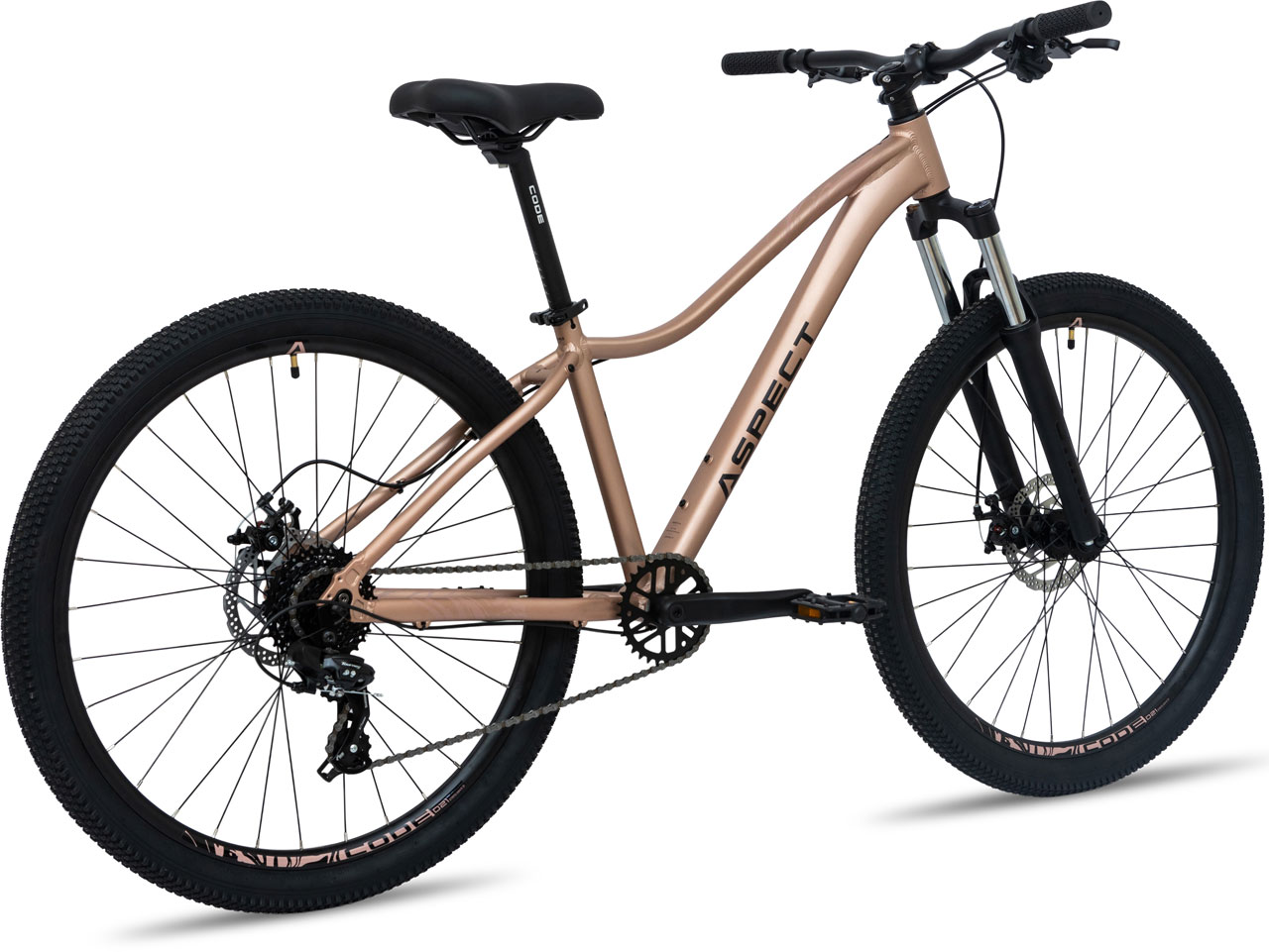 ASPECT Oasis 27.5 2026