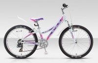 STELS Navigator 430 V 24 2016