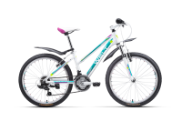 WELT Edelweiss 24 2016