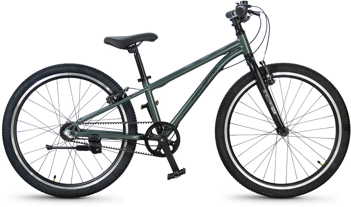 MAXISCOO Stellar Pro 24 2026