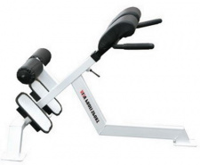 Скамья BRONZE GYM AL-317 силовая