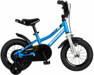 SCHWINN Koen 12 2020